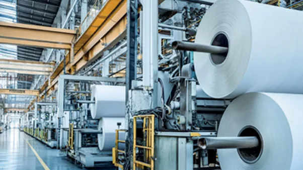 Paper, Pulp & Packaging Industry
